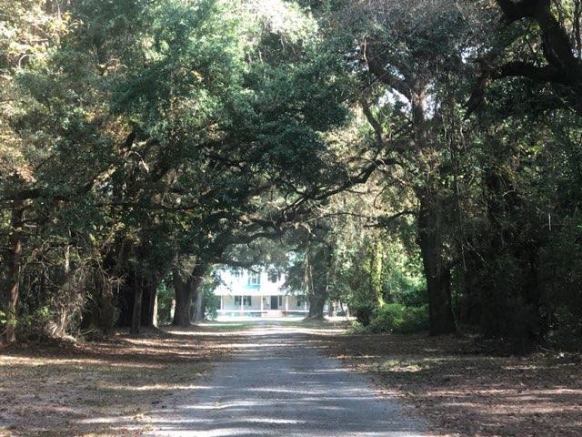 More Photos Of 3636 N Williston Rd, Florence Land For Sale