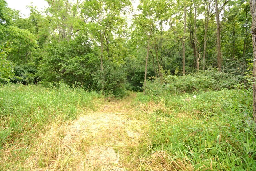 More Photos Of 250 Main st, Mount Gilead Land For Sale