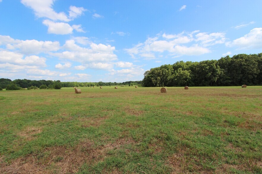 More Photos Of 278 Highway 64 E, Conway Land For Sale
