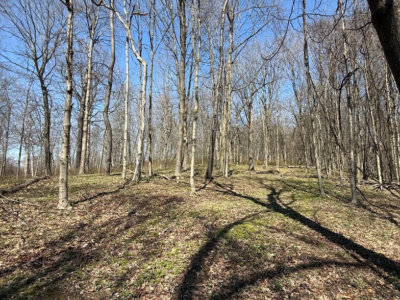 More Photos Of 0 Kragel Rd, Wintersville Land For Sale