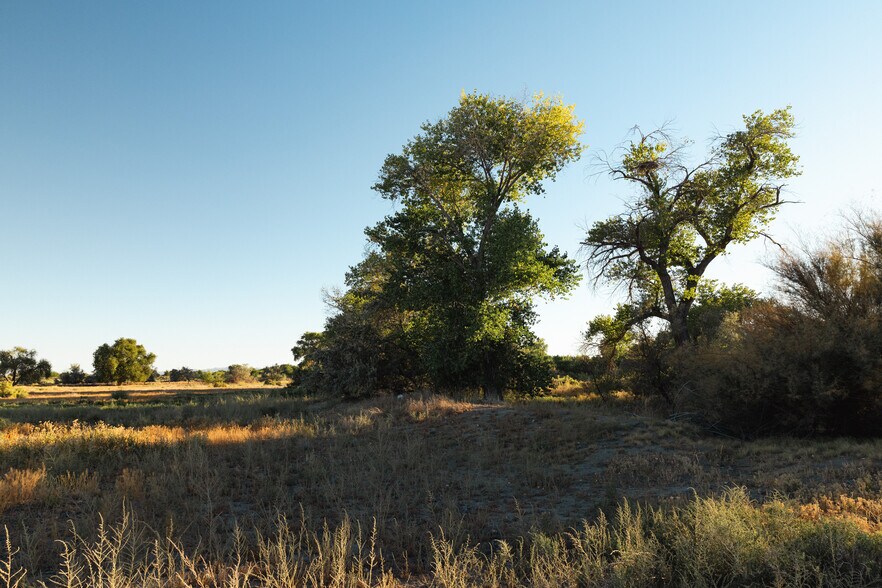 More Photos Of Venturacci Lane, Fallon Land For Sale