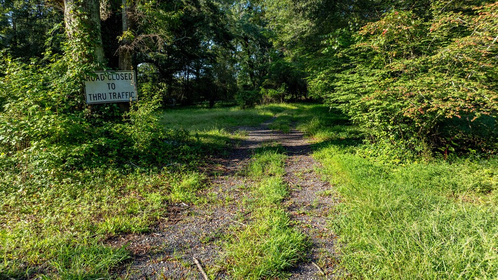 More Photos Of 62 Turin Rd, Senoia Land For Sale