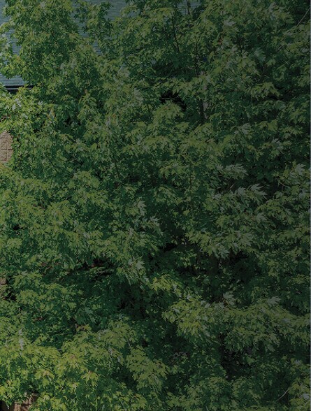 More Photos Of 3027 Miller Rd, Ann Arbor Land For Sale