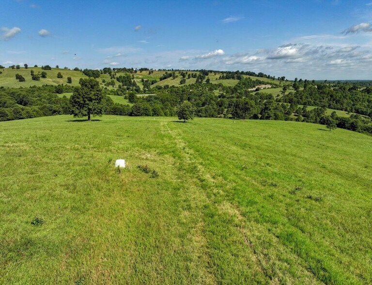 More Photos Of Hwy 65 and Old Hwy US 65, Omaha Land For Sale