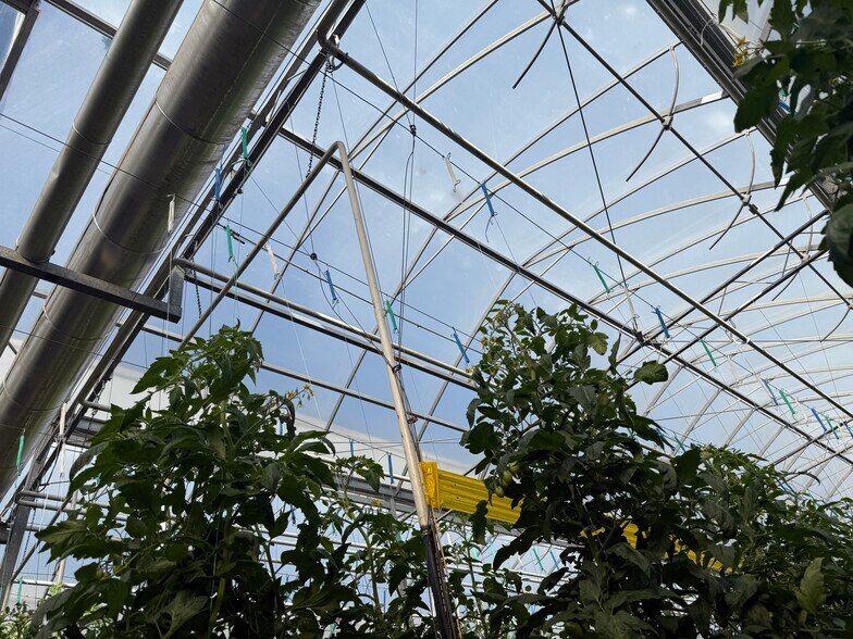 More Photos Of 11312 Range 63 rd, Cypress County Industrial For Sale