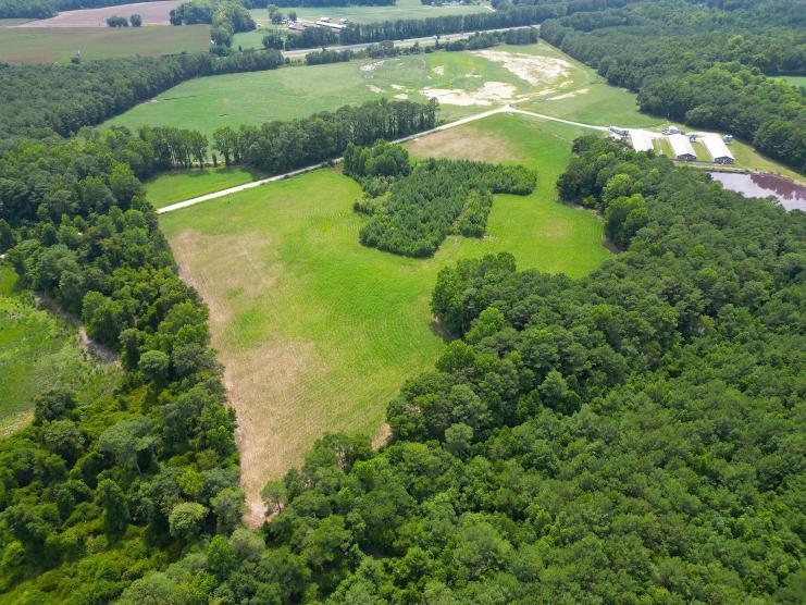 More Photos Of 157 Glaspie Rd, Magnolia Land For Sale