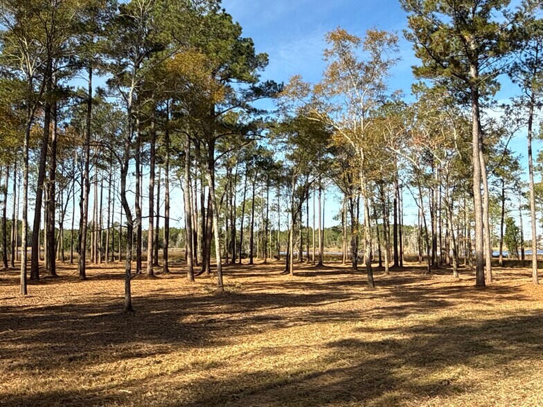 More Photos Of 0 Norfleet Shores Road, Belhaven Land For Sale