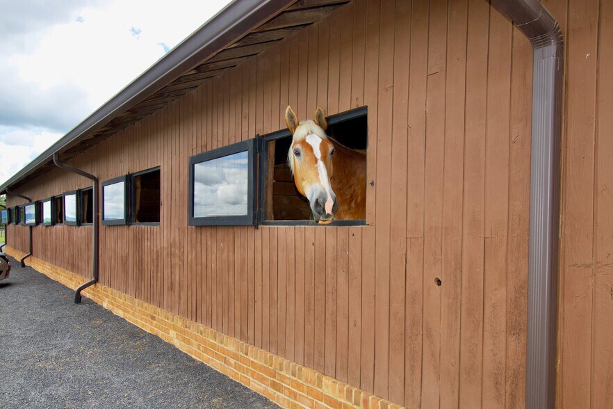More Photos Of 3476 Fairview Rd, Lewisburg Specialty For Sale