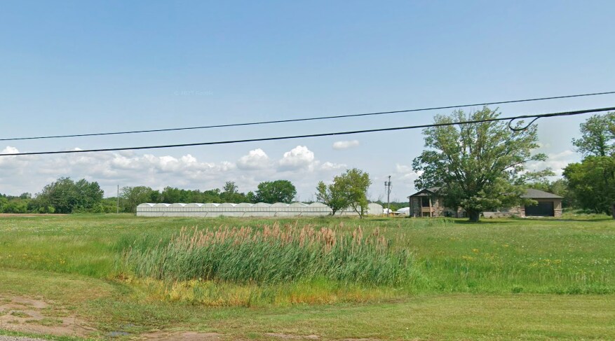 Primary Photo Of 43634 Hwy 3, Wainfleet Garden Center For Lease