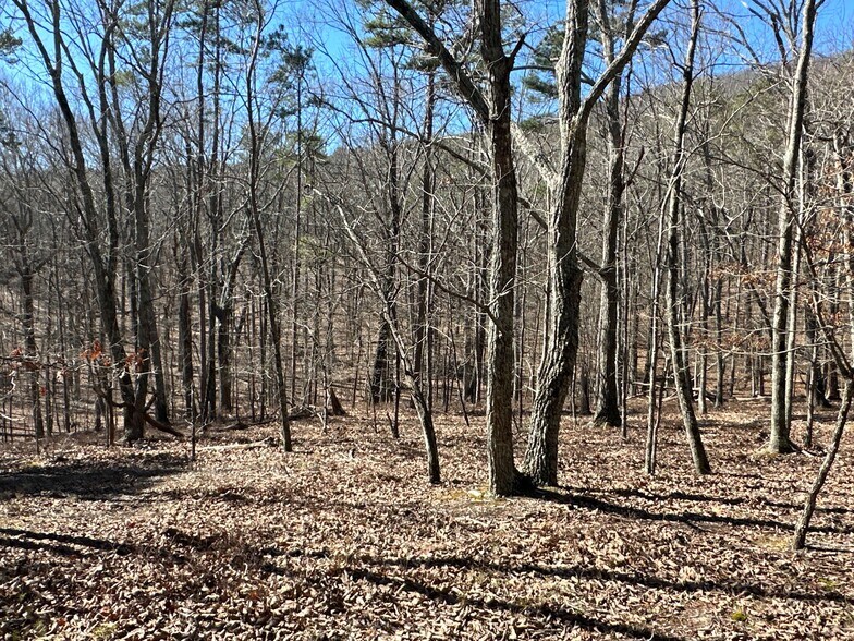 More Photos Of 3472 Prior Station Rd, Cedartown Land For Sale
