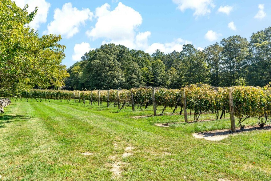 More Photos Of 115 Cow Hill Rd, Clinton Winery Vineyard For Sale