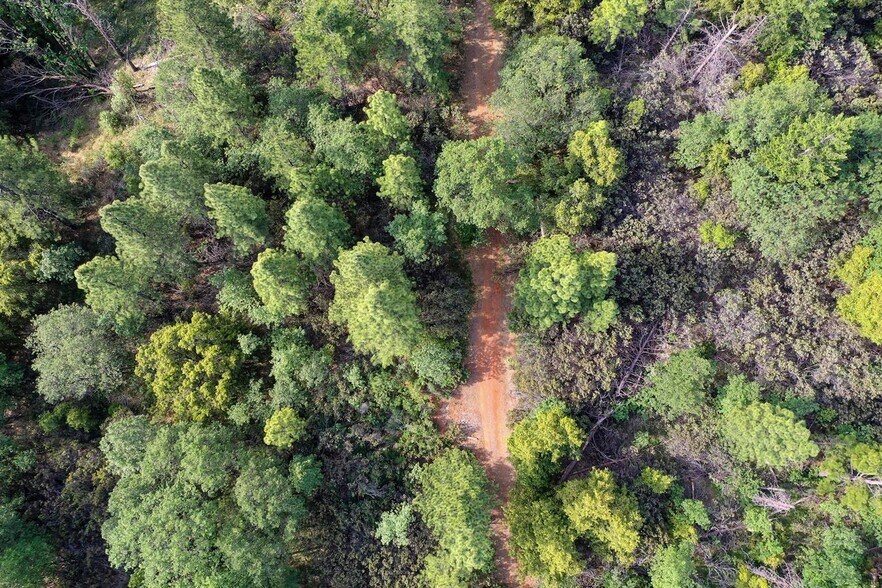 More Photos Of 6281 Bear Creek Rd, Garden Valley Land For Sale