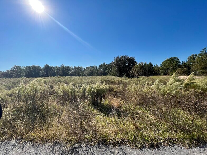 More Photos Of Kadri, Spring Hill Land For Sale