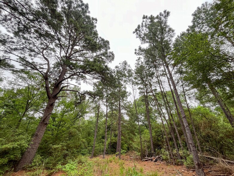 More Photos Of 8 Ranchero Rd, College Station Land For Sale