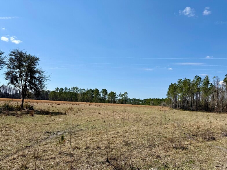 More Photos Of 4597 State 24 rd, Bronson Land For Sale