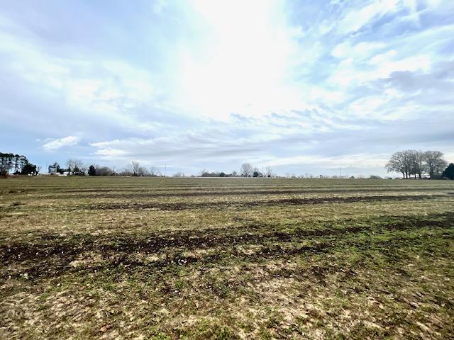 More Photos Of 8291 GA Highway 67, Brooklet Land For Sale