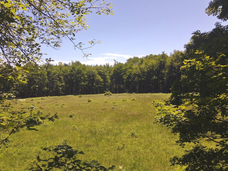 More Photos Of 1 Snow Hill Rd, Parksville Land For Sale
