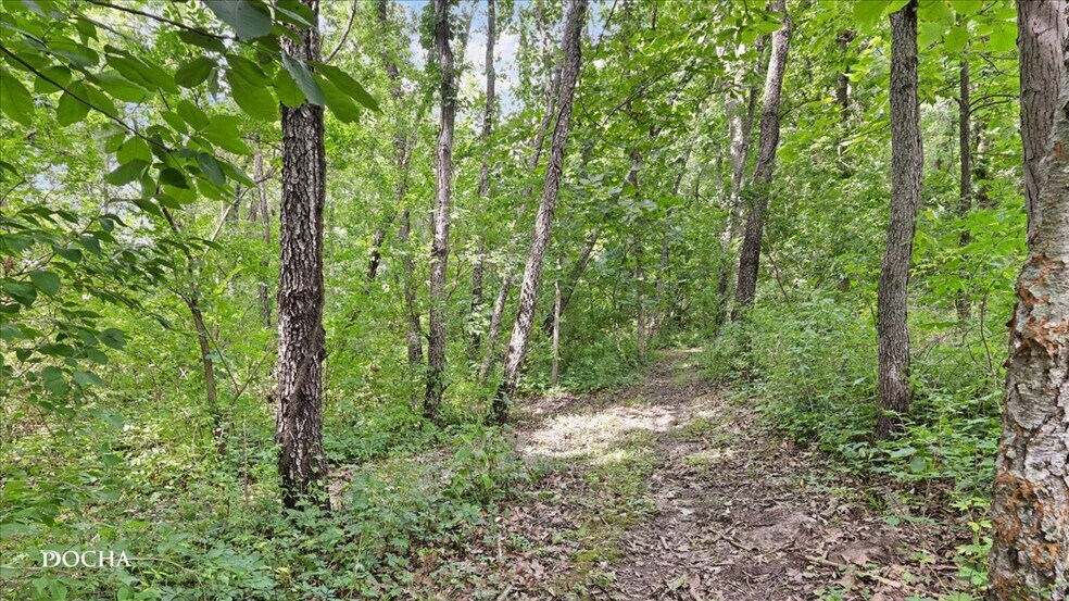More Photos Of 2796 US Highway 51, Clinton Land For Sale