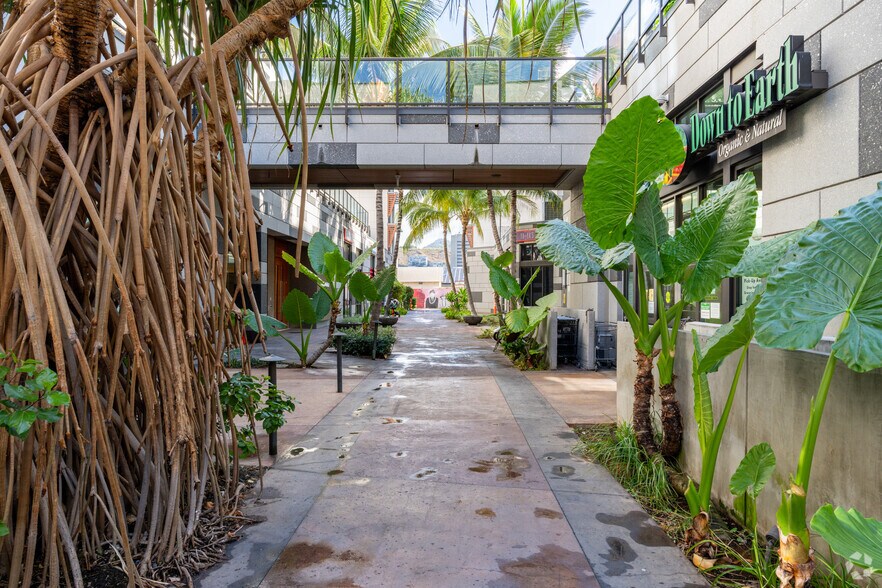 More Photos Of 502 Keawe St, Honolulu Apartments For Lease