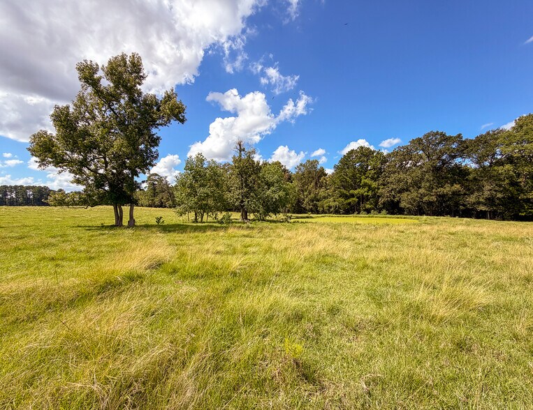 More Photos Of 567 Tamie Lowe rd, Moscow Land For Sale