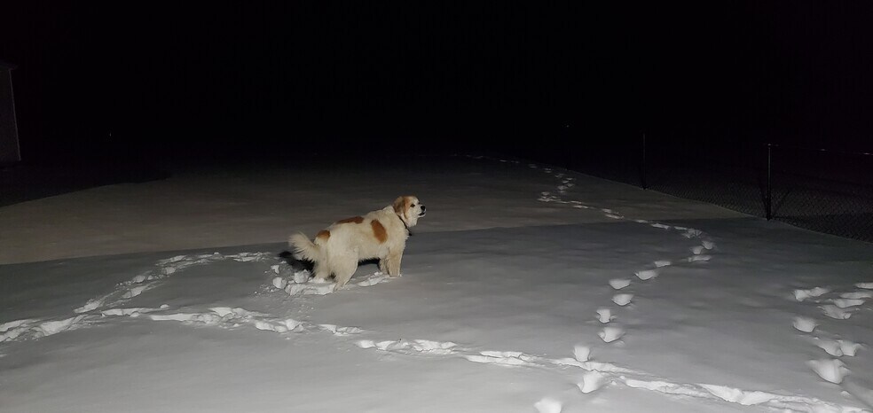 More Photos Of 4775 S 50th St, Aldrich Land For Sale