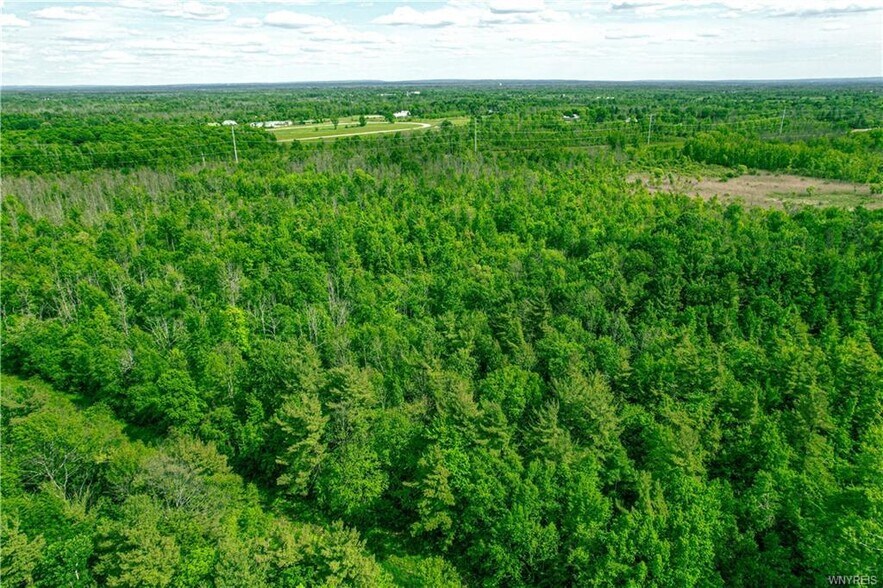 More Photos Of Genesee St @ Billo Rd, Alden Land For Sale