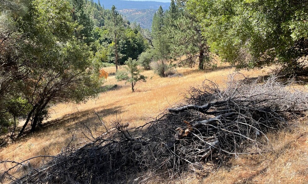 More Photos Of 00000 Forrest Road 1N19, Tuolumne Land For Sale