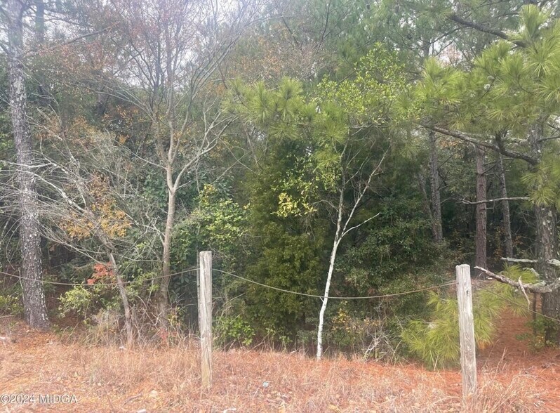 More Photos Of 1045-1049 Anthony Road, Macon-Bibb Land For Sale