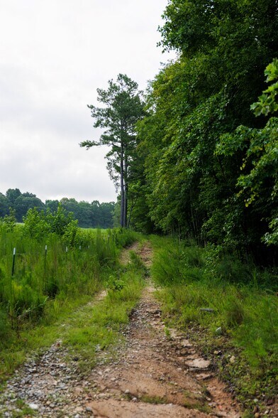 More Photos Of 2199 Roosterville Rd, Roopville Horse Stables For Sale