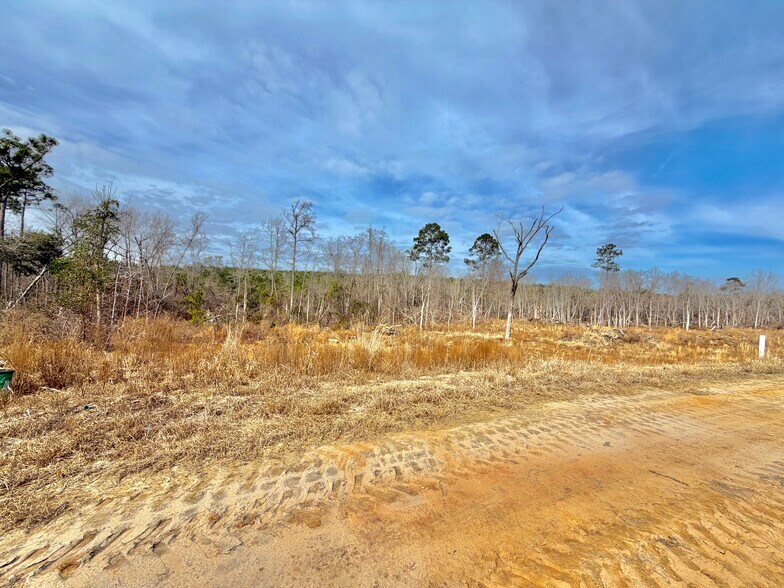 More Photos Of 500 Grays Landing Rd, Uvalda Land For Sale