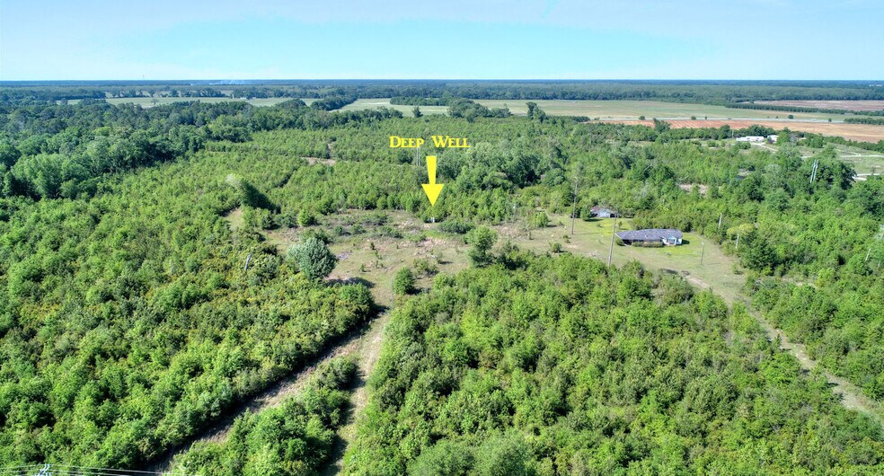 More Photos Of 3425 Sylvester Hwy., Albany Land For Sale