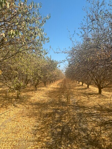 Primary Photo Of 18897 Road 96, Tulare Land For Sale