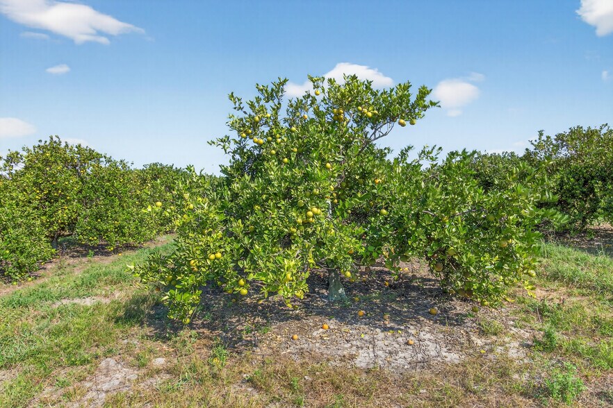 More Photos Of 8476 Ten Mile Grade, Zolfo Springs Land For Sale