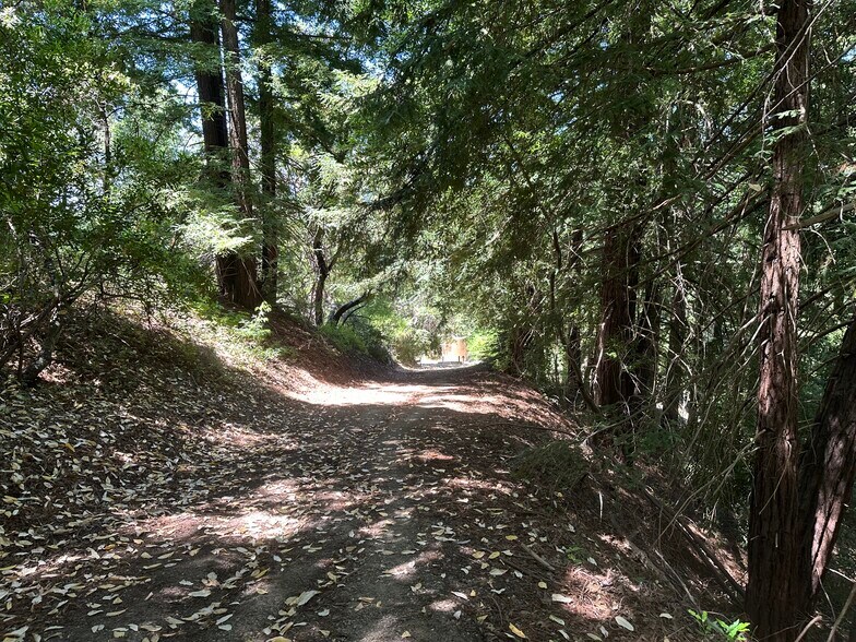 Primary Photo Of 0000 Main Boulevard Los Gatos 95033, Los Gatos Land For Sale