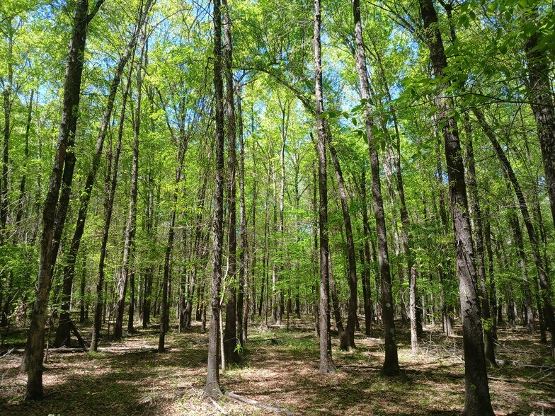 More Photos Of 414000 E 1920 Rd, Antlers Land For Sale