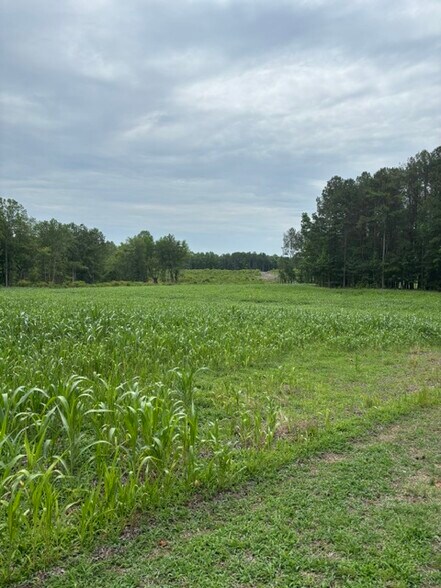 More Photos Of 2723 Mays Crossroads Rd, Youngsville Land For Sale