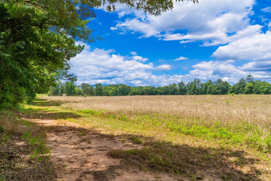 More Photos Of 1013 Amber Stapp Studdard Rd, Social Circle Land For Sale