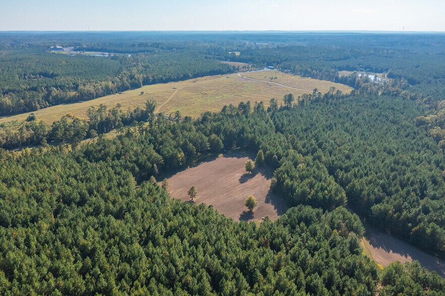 More Photos Of 18618 Hwy 43, Linden Land For Sale