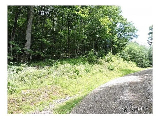 Primary Photo Of 329 Hamlin Lane, Mars Hill Land For Sale