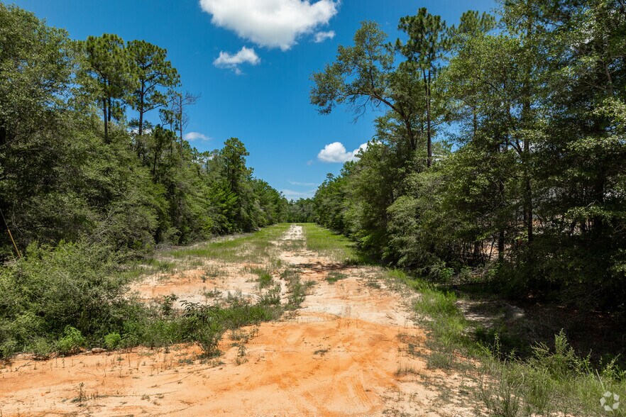 More Photos Of , Defuniak Springs Land For Sale
