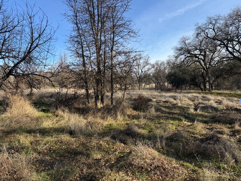 More Photos Of 17238 Carrie Ann Ln, Penn Valley Land For Sale