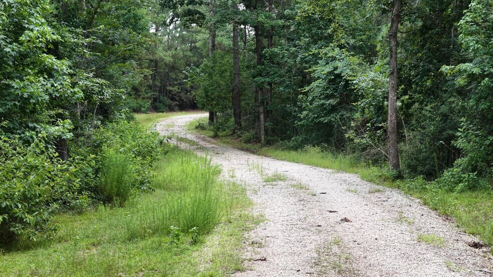More Photos Of 856 TX-150, New Waverly Land For Sale