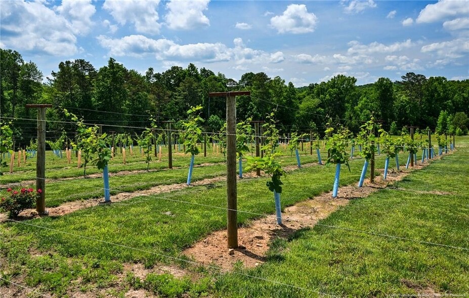 More Photos Of 119 Inland Dr, Talking Rock Winery Vineyard For Sale