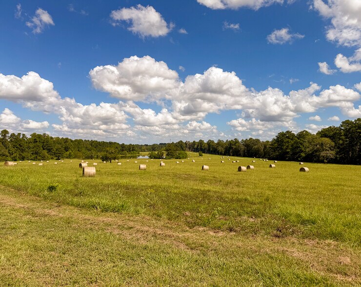 More Photos Of 567 Tamie Lowe rd, Moscow Land For Sale