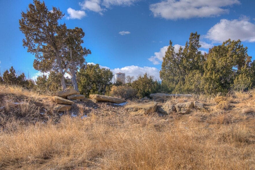 More Photos Of 22540 Us Highway 160, Walsenburg Veterinarian Kennel For Sale
