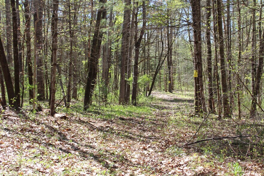 More Photos Of 12-R Jackielyn Cir, Granby Land For Sale