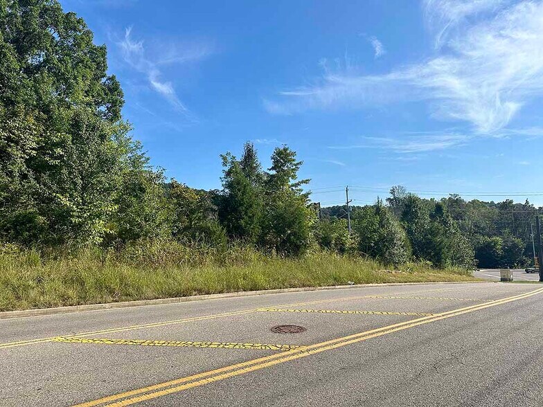 More Photos Of 100 W Mountain View Rd, Johnson City Land For Sale
