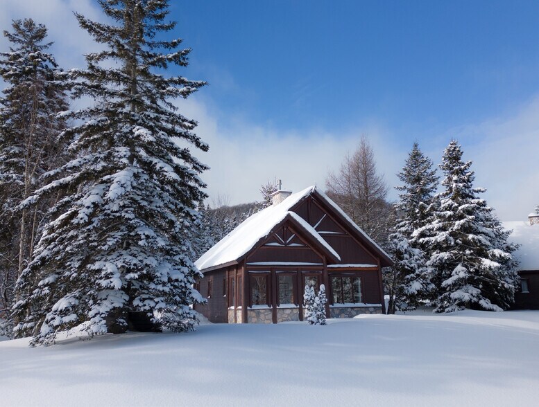More Photos Of 192 Allée Du Chalet-Royal, St-Faustin-Lac-Carré Hotel For Sale