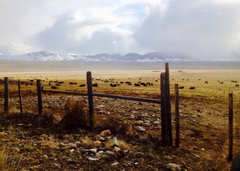 More Photos Of 3750 Pahsimeroi Rd, May Land For Sale