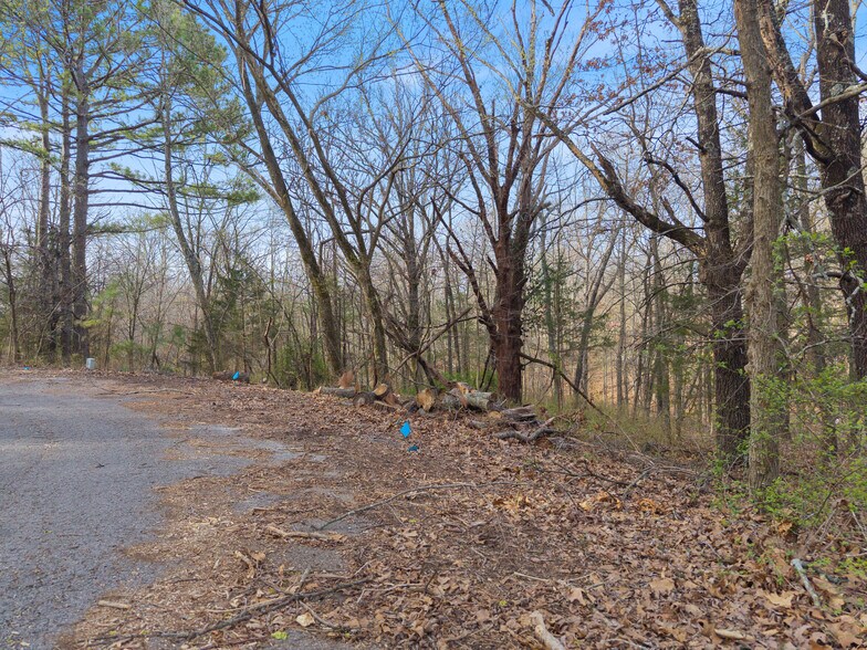 More Photos Of Nairn Cir, Bella Vista Land For Sale